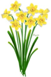 daffs